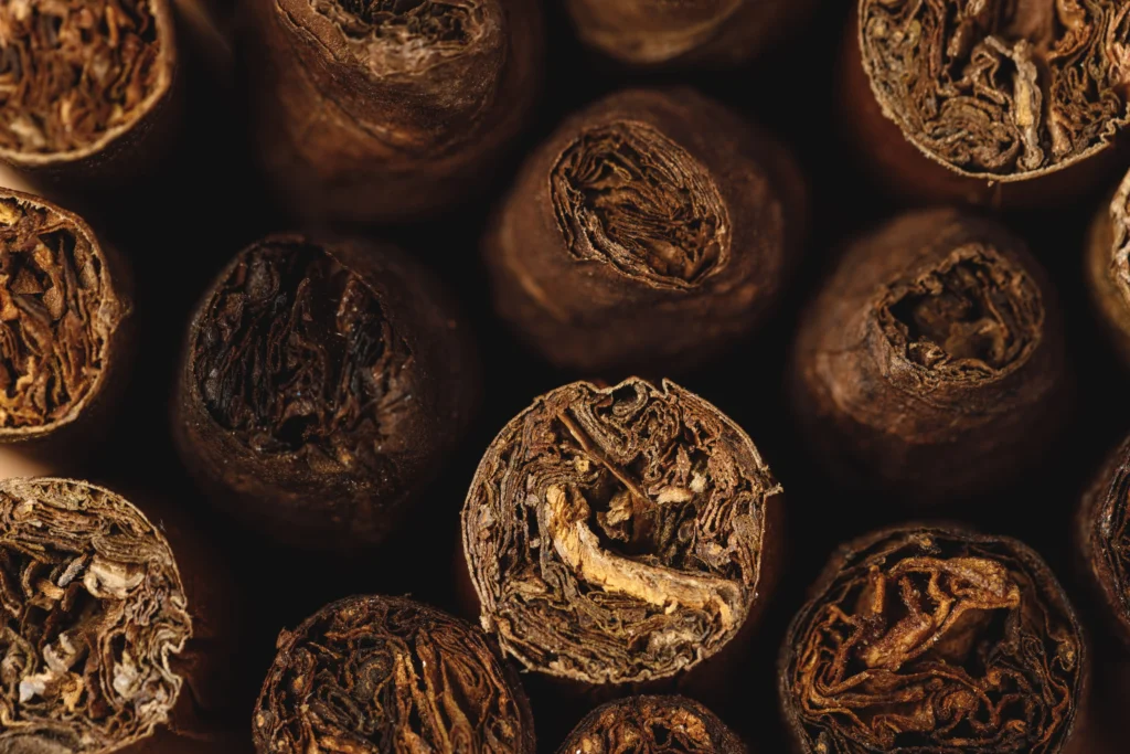 The Five Cuban Cigars Worth Owning