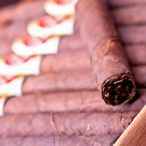 Montecristo No. 4