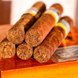 Cohiba Robusto
