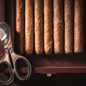 Romeo y Julieta Churchill